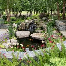 Garden Pond
Morty Bachar / Patty Storms
Lewes, DE