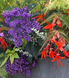 Container Garden, Karen Chapman
Garden Design
Calimesa, CA