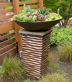 Succulent bowl on pedestal