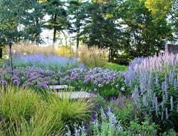 Farmhouse Garden
Award-Winning Gardens
Donald Pell Landscape Design
Phoenixville, PA
