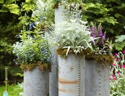 Container Garden Pictures
Kate McCarty Organic Landscapes
Amagansett, NY