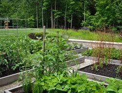 Bountiful
Edible Garden Pictures
McCullough's Landscape & Nursery LLC
Johnstown, OH