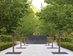 Landscape Design Pictures
Andrea Cochran Landscape Architecture
San Francisco, CA