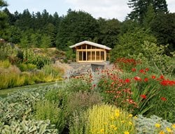 Landscape Design Pictures
Garden Diva Designs
Hillsboro, OR