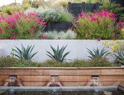 02_barden_residence_miller
Garden Design
Calimesa, CA