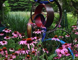07_circle_sculpture__echinacea_pampenick_bedrockgardens
Bedrock Gardens
Lee, NH