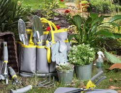 11-Piece Tool Set
Garden Design
Calimesa, CA