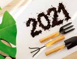 2021
Shutterstock.com
New York, NY