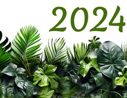 2024 Banner With Plants
Garden Design
Calimesa, CA