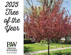 2025 Tree Of The Year Billboard
Proven Winners
Sycamore, IL