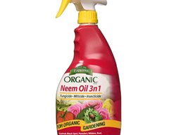 3-In-1 Neem Oil Spray
Garden Design
Calimesa, CA