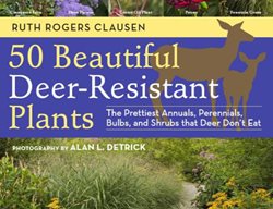 50 Beautiful Deer-Resistant Plants
Garden Design
Calimesa, CA