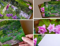 6 Note Card Collage
Garden Design
Calimesa, CA