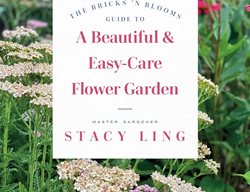 A Beautiful & Easy-Care Flower Garden
Garden Design
Calimesa, CA