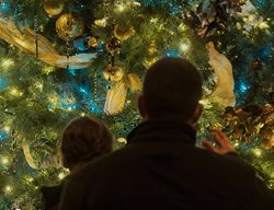 A Longwood Christmas
Garden Design
Calimesa, CA