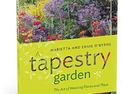 A Tapestry Garden
Garden Design
Calimesa, CA
