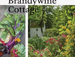 A Year At Brandywine Cottage Book
Garden Design
Calimesa, CA