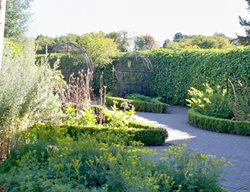 Aaron
Garden Design
Calimesa, CA