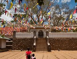 Adametrnal
Garden Design
Calimesa, CA
