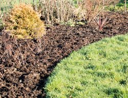 Add A Layer Of Mulch To Protect Plants
Garden Design
Calimesa, CA