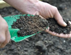 Add Compost And Fertilize Your Garden
Garden Design
Calimesa, CA