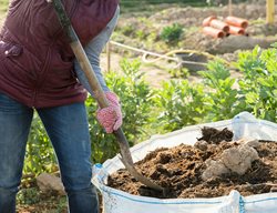 Add Compost To Garden Beds
Garden Design
Calimesa, CA