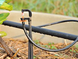 Adjust Irrigation
Garden Design
Calimesa, CA