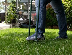 Aerate And Fertilize Your Lawn
Garden Design
Calimesa, CA