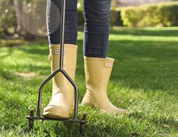 Aerate & Fertilize Lawns
Garden Design
Calimesa, CA