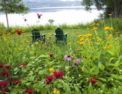 Ake View, Adirondack Chairs, Meadow Garden
Larry Weaner Landscape Associates
Glenside, PA