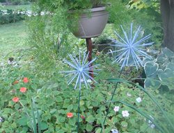 Allium Garden Stakes, Garden Stakes
Inspired Gardens
