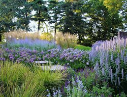 Allium Path
Donald Pell Landscape Design
Phoenixville, PA