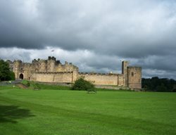 Alnwick_castle_3christinelaennec
Garden Design
Calimesa, CA