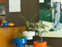 Aluminum Planters, Modern Planters
PAD Outdoor
Los Angeles, CA