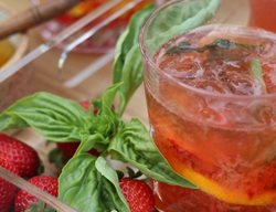 Amazel Basil Drink, Summer Recipe
Proven Winners
Sycamore, IL