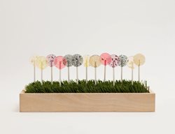 Amboreella Organics, Seed Bearing Lollipops
Garden Design
Calimesa, CA