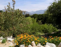 American Public Gardens, California
Garden Design
Calimesa, CA
