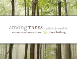 Among Trees
Garden Design
Calimesa, CA