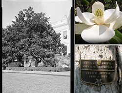 Andrew Jackson
Garden Design
Calimesa, CA