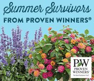Annuals For Summer
Proven Winners
Sycamore, IL