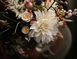 Apartment, Flowers,and Plants
Garden Design
Calimesa, CA