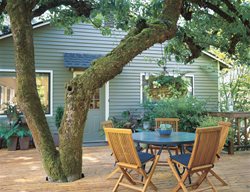 Apple Tree, Deck
Garden Design
Calimesa, CA