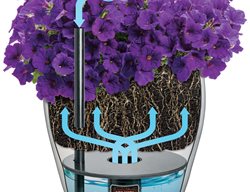 Aquapot Diagram
Proven Winners
Sycamore, IL