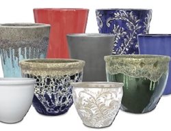 Aquapots
Proven Winners
Sycamore, IL