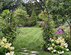 Arbor Entrance To Garden
Garden Design
Calimesa, CA