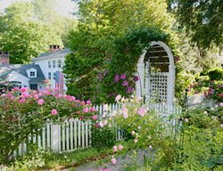 Arbor In Garden With Roses
Garden Design
Calimesa, CA