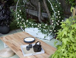 Arch Trellis, Planter With Circle Trellis
Proven Winners
Sycamore, IL