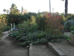 Arlington Garden
Pasadena, CA