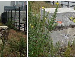 Art By Adrian Villar Rojas
Garden Design
Calimesa, CA