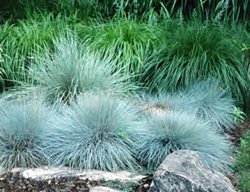 Article
Johnsen Landscapes & Pools
Mount Kisco, NY